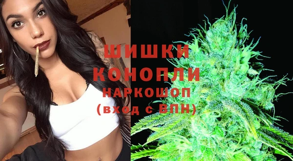тгк Магас