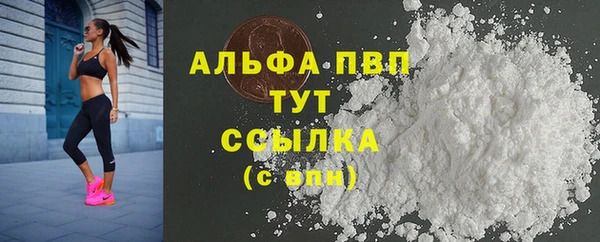 индика Магадан