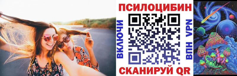 Купить закладки  Рузаевка  Псилоцибиновые грибы Cubensis 